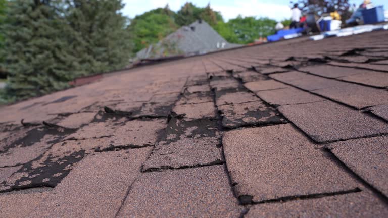 Best Roof Coating and Sealing  in East Setauket, NY